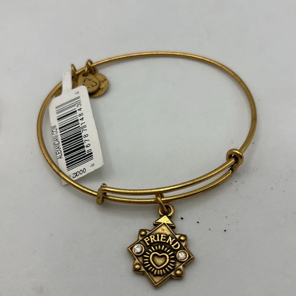Alex and Ani gold charm bangle bracelet stretch Friend and Be Brave charms